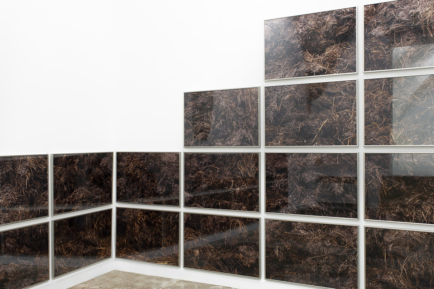 expanded photography